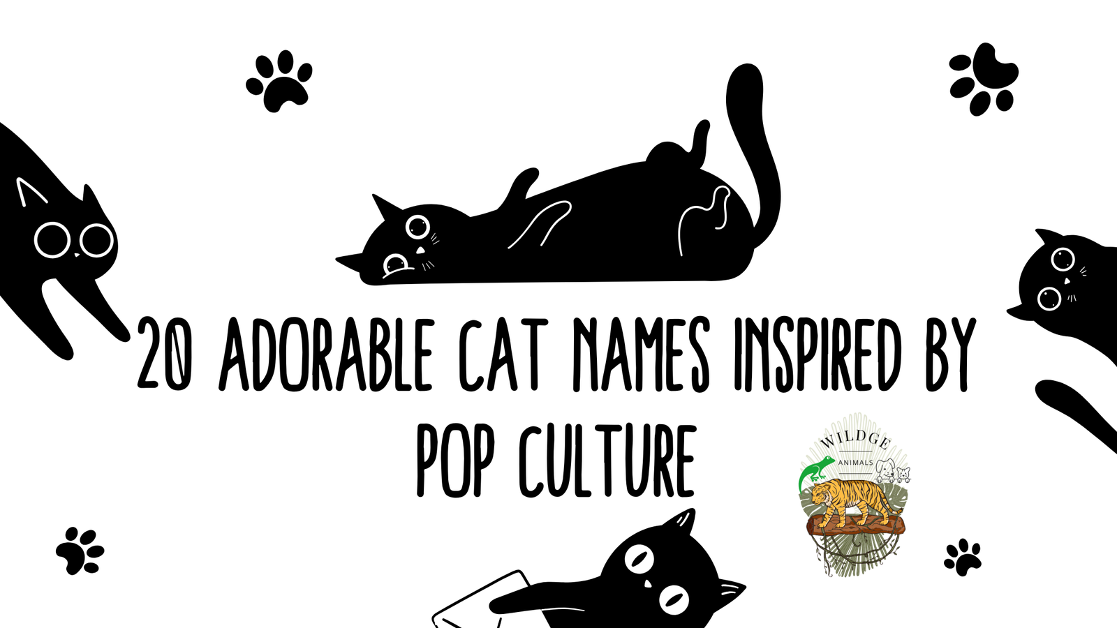 20 Adorable Cat Names Inspired by Pop Culture