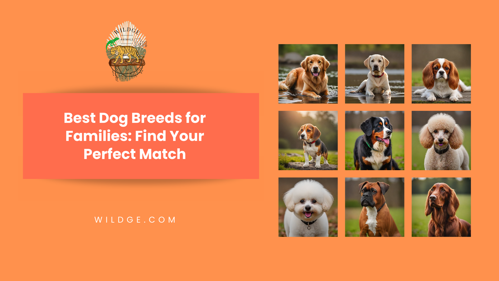 Best Dog Breeds for Families: Find Your Perfect Match