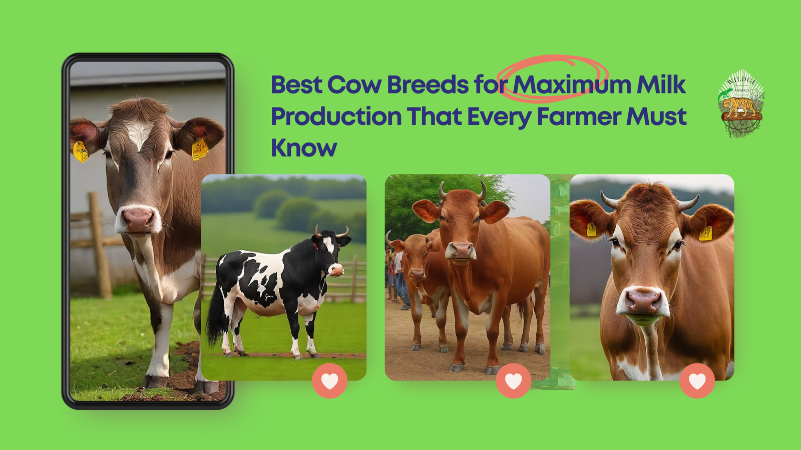 Best Cow Breeds for Maximum Milk Production That Every Farmer Must Know